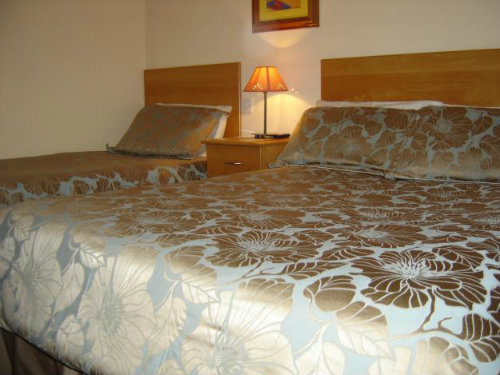 Accommodation (Guesthouse Accommodation)