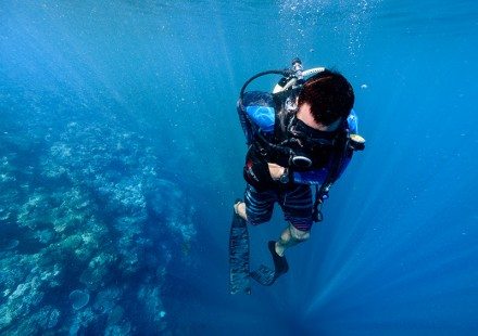 Try a Dive 1 Night Package